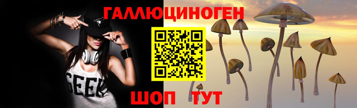 Псилоцибиновые грибы Cubensis  Вход с VPN  Кропоткин 